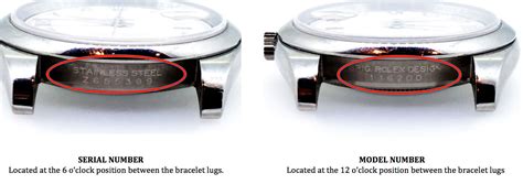 case reference number rolex|rolex value by serial number.